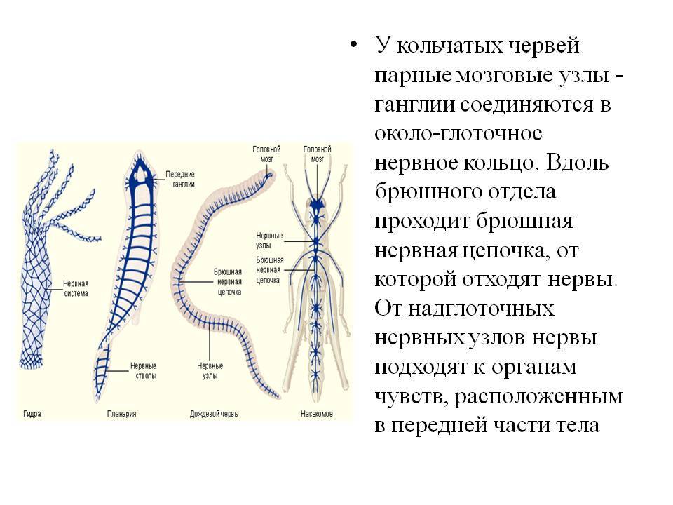 Кракен зеркало на сегодня